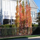 531840708_10237755791814854_6535362659118273272_n — копия — копия5